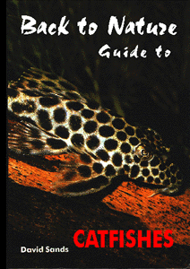 Aqualex catalogue Malawi cichlids