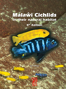 Malawi Cichlids in their natural habitat. Edition 5