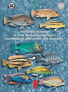 Cichlid Diversity Lake Malawi / Snoeks