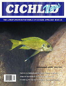 cover Apr 2001