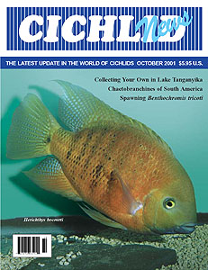cover October 2001
