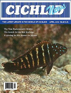 cover April 2002