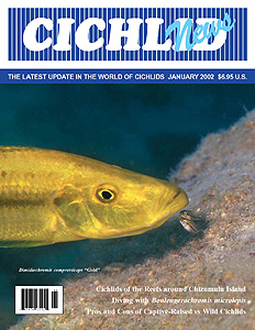 cover January 2002