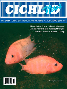 cover October 2002