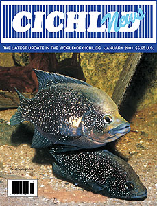 cover January 2003
