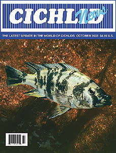 cover October 2003