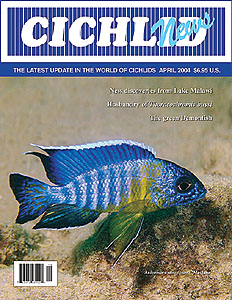 cover April 2004
