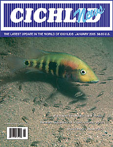 cover January 2005