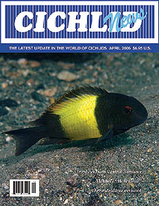 cover April 2006