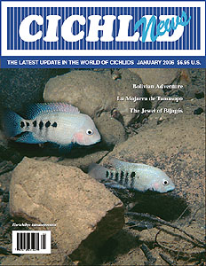 cover January 2006
