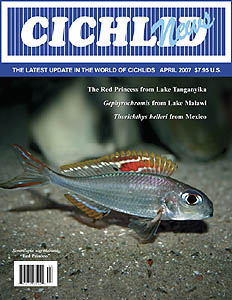 cover April 2007