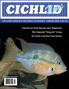 cover January 2008