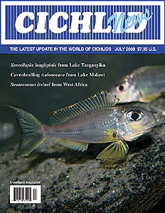 cover July 2008