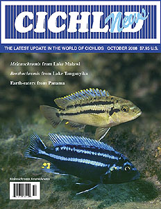 cover October 2008