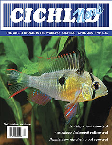 cover April 2009