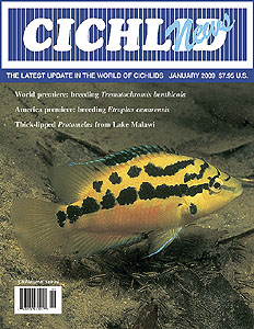cover January 2009