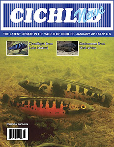 cover Jan 2010