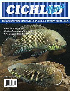 cover Jan 2011