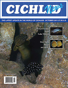 cover Oct 2011