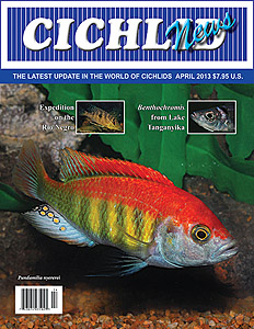 cover Apr 2013